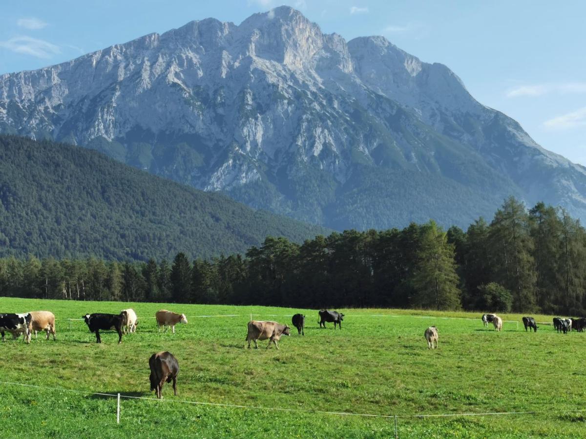 Zauscherhof Wildermieming ภายนอก รูปภาพ