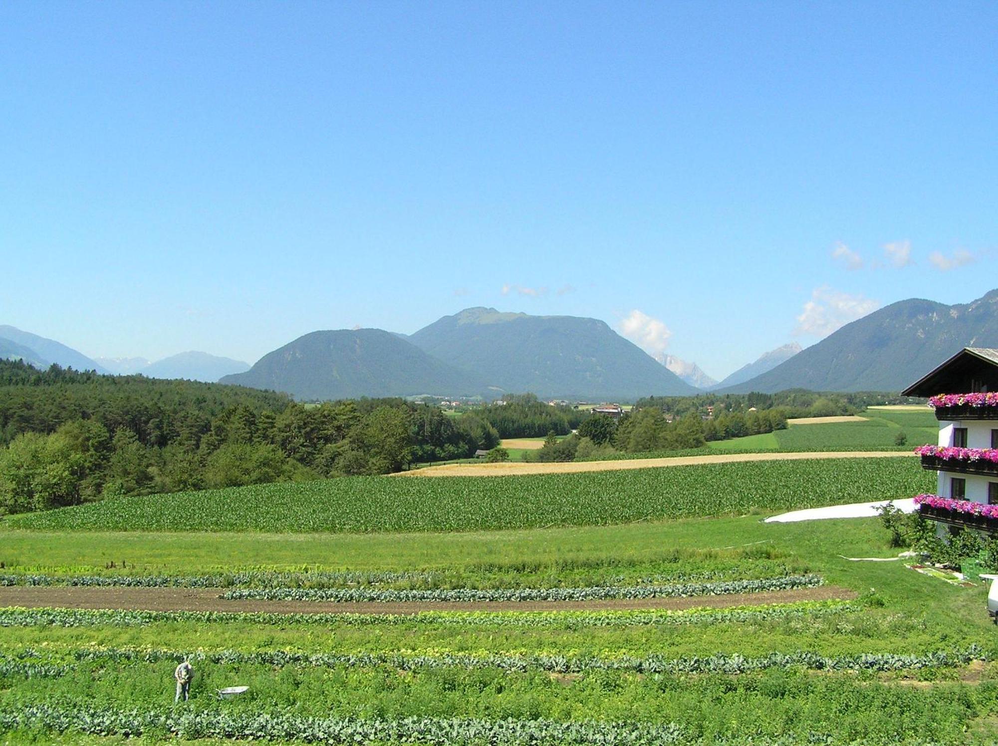 Zauscherhof Wildermieming ภายนอก รูปภาพ